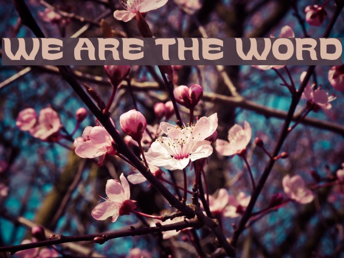 WE ARE THE WORD Font examples