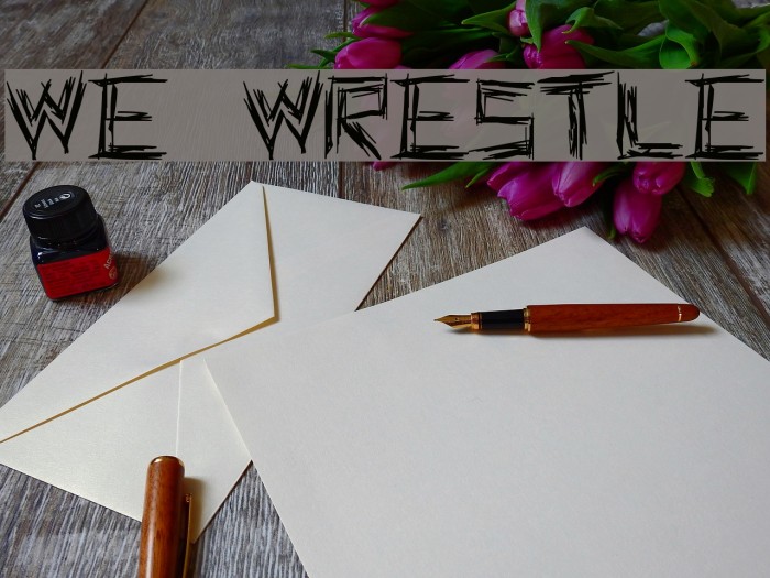 WE WRESTLE Font examples