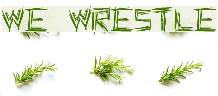 WE WRESTLE Font examples