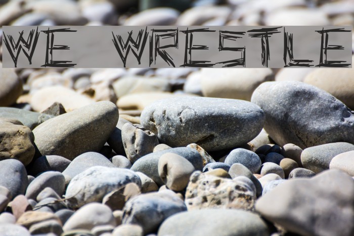 WE WRESTLE Font examples