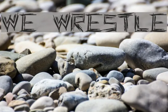WE WRESTLE Example 3