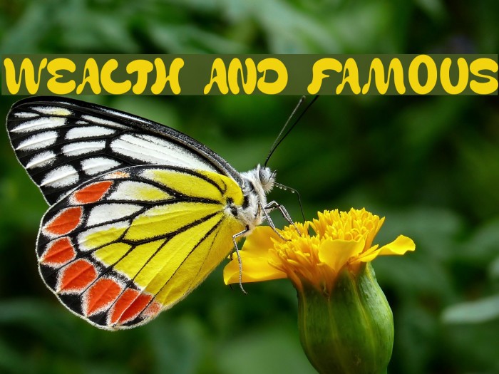 WEALTH AND FAMOUS Font examples