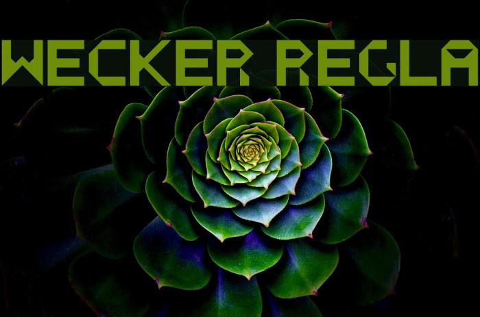 WECKER Regular Font examples