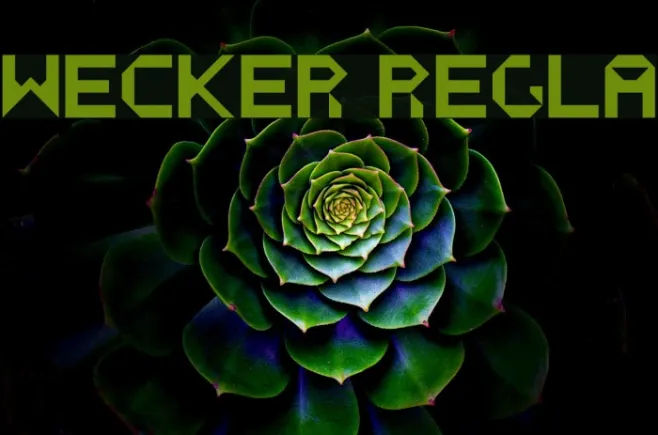 WECKER Regular Example 1