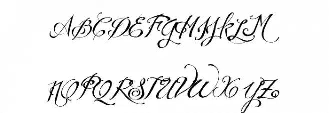 WEDDING NIGHTMARES trial 字体 大写