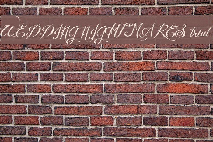 WEDDING NIGHTMARES trial Font examples