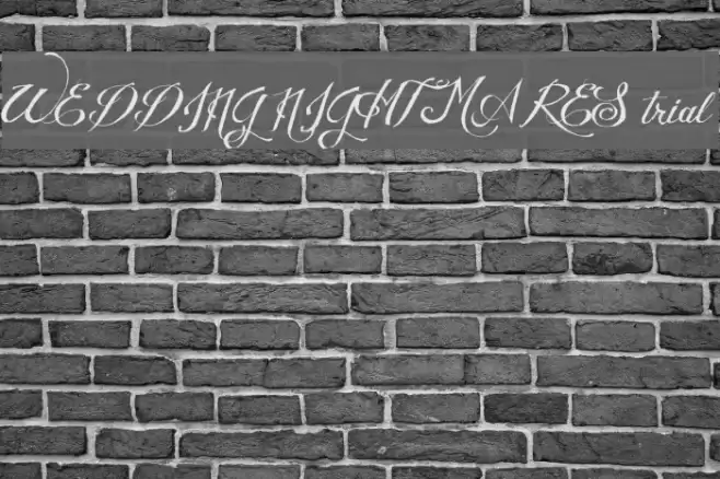 WEDDING NIGHTMARES trial Font examples
