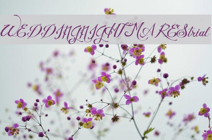 WEDDINGNIGHTMAREStrial Font examples