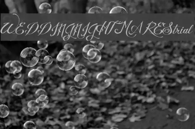 WEDDINGNIGHTMAREStrial Font examples