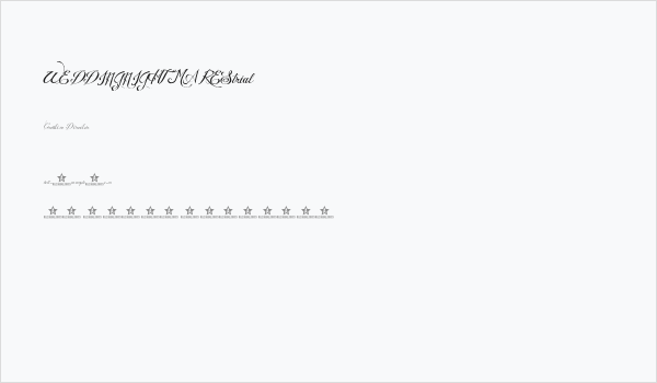 WEDDINGNIGHTMAREStrial Business Card