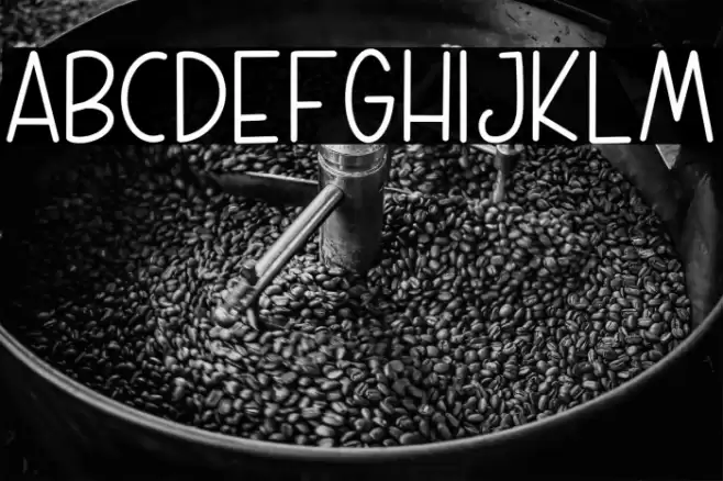 WEEKLY PLANNER フォント examples