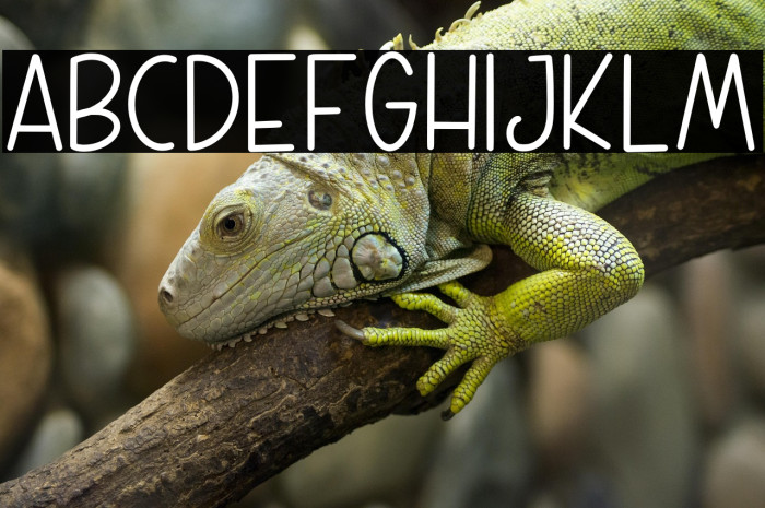 WEEKLY PLANNER Example 2