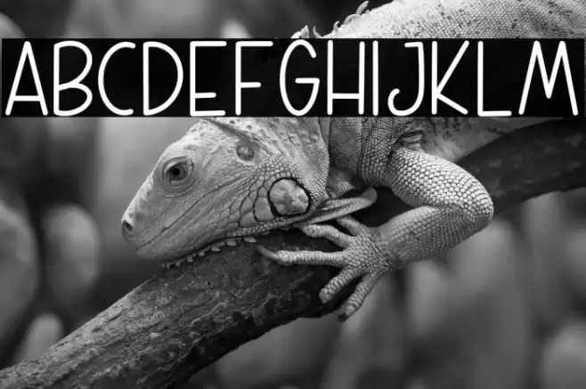 WEEKLY PLANNER フォント examples