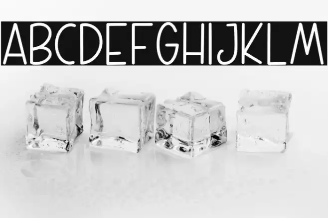 WEEKLY PLANNER フォント examples