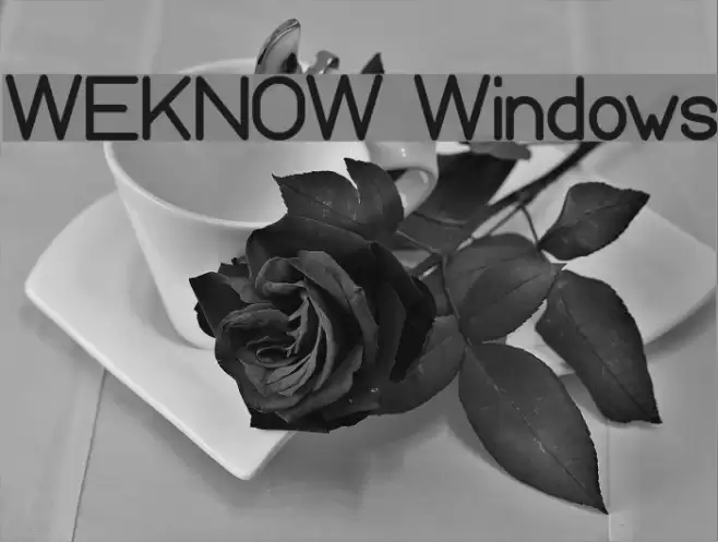 WEKNOW Windows Font examples