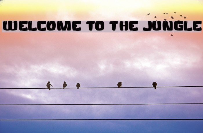 WELCOME TO THE JUNGLE Font examples