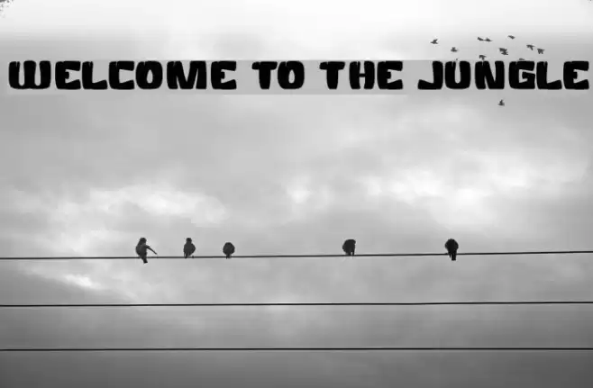 WELCOME TO THE JUNGLE خط examples