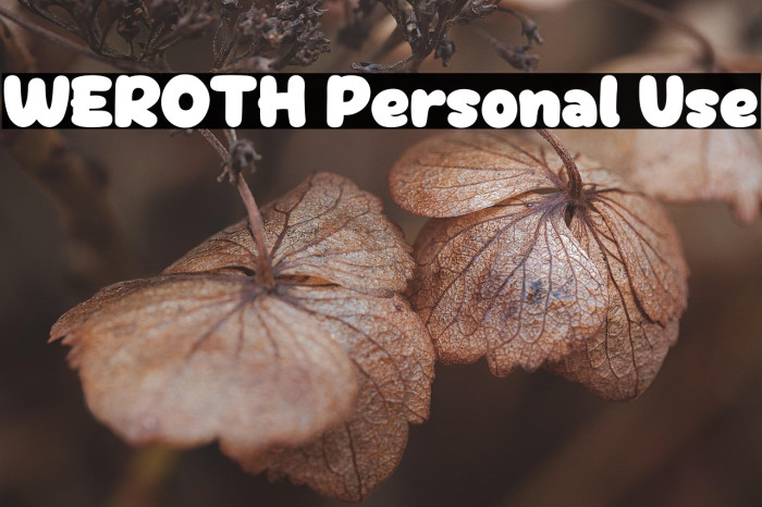 WEROTH Personal Use Example 1