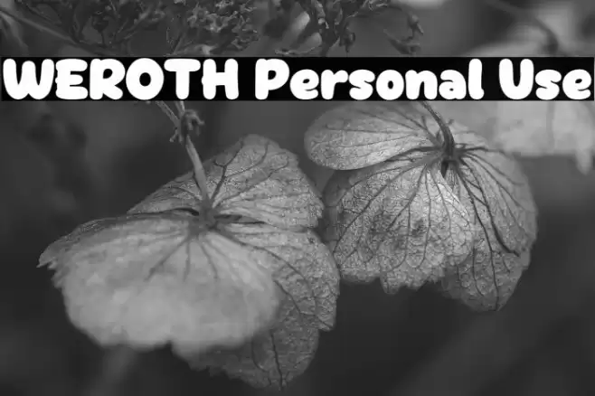 WEROTH Personal Use Font examples