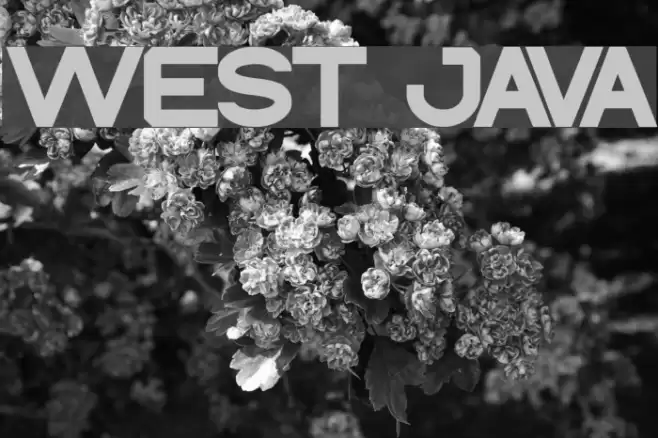 WEST JAVA Font examples