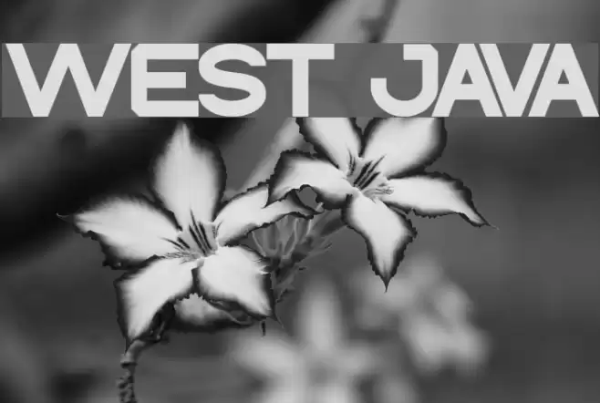WEST JAVA Font examples