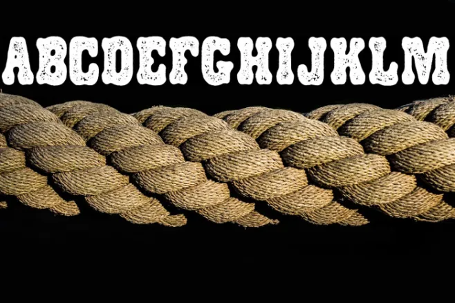 WESTPLASMA PERSONAL USE Regular Example 2