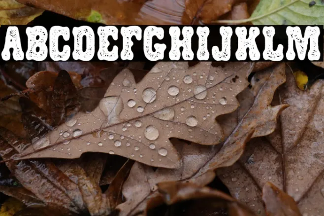 WESTPLASMA PERSONAL USE Regular Example 3