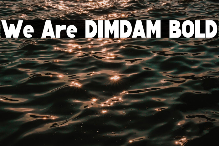 We Are DIMDAM BOLD Example 2