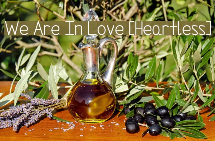 We Are In Love [Heartless] Example 2