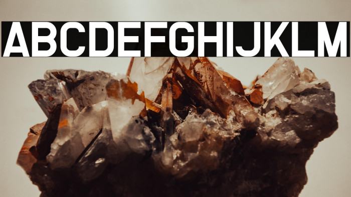 We Are Survivors Example 2