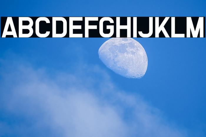 We Are Survivors Example 3