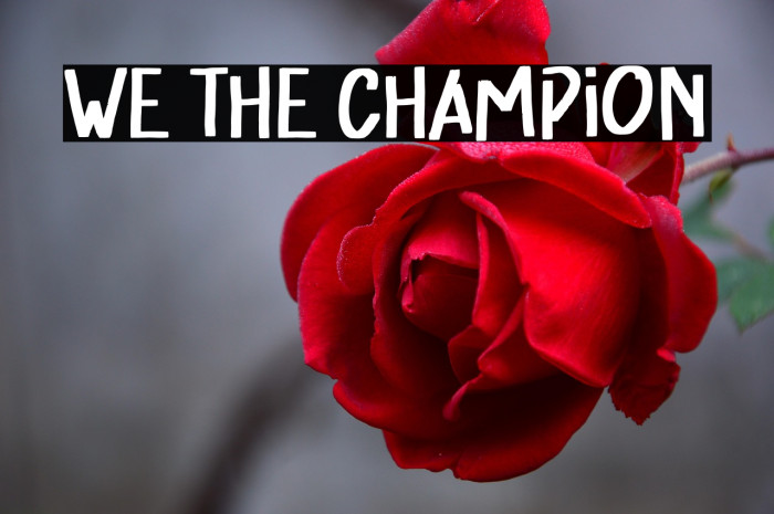 We The Champion Example 2