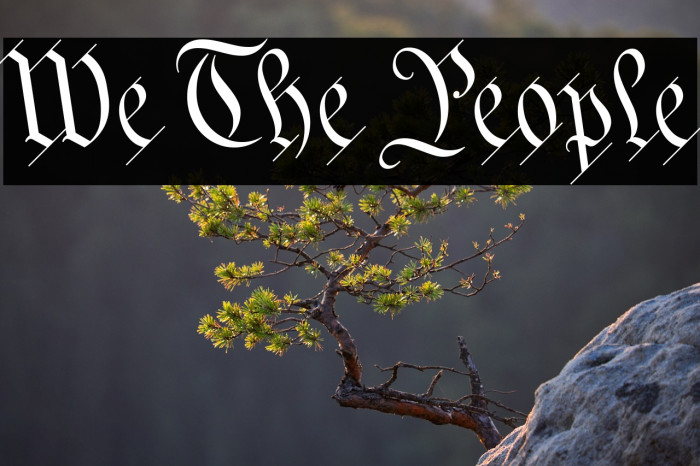 We The People Example 3