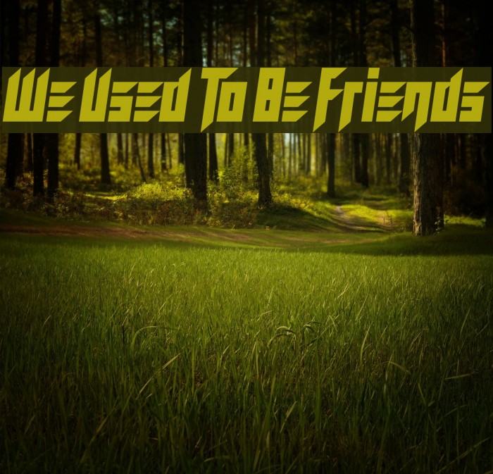 We Used To Be Friends Font examples