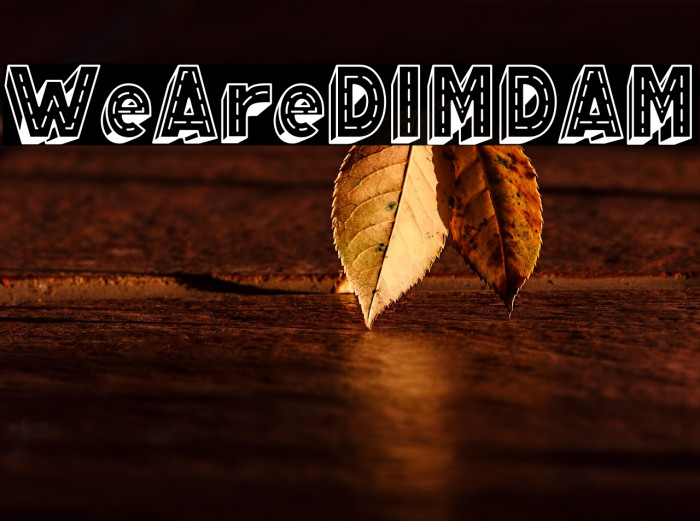 WeAreDIMDAM Example 1