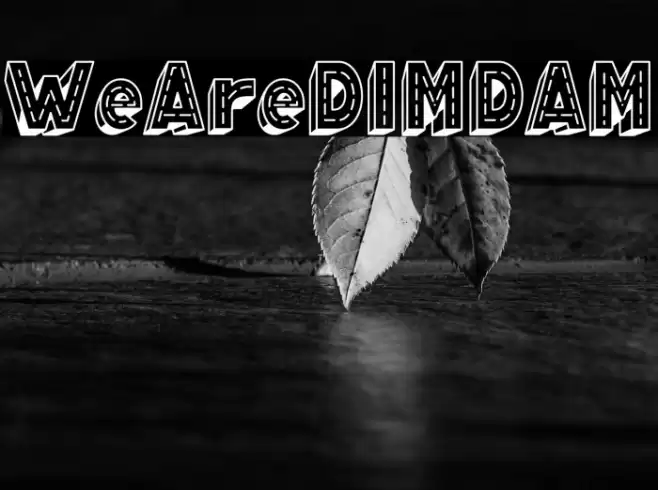 WeAreDIMDAM Schriftart examples