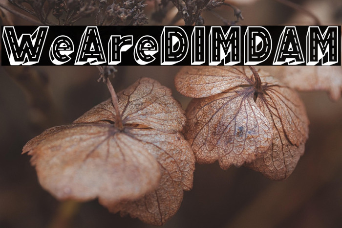 WeAreDIMDAM Example 2