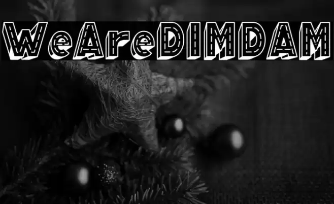WeAreDIMDAM Schriftart examples
