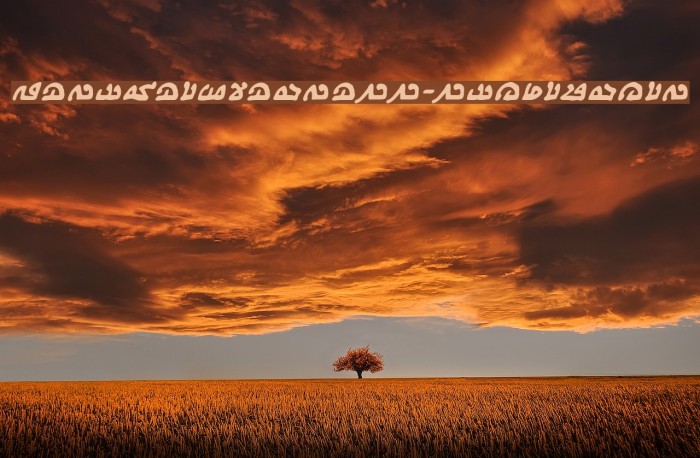 WeComeInPeaceBB-BoldItalic Font examples