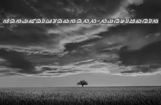 WeComeInPeaceBB-BoldItalic Font examples