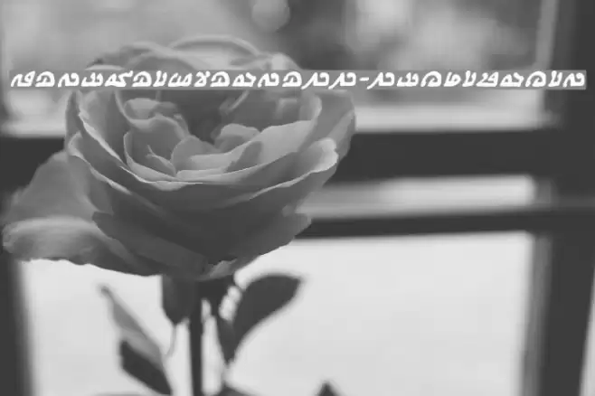 WeComeInPeaceBB-BoldItalic Font examples