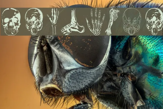 WeInside Example 3