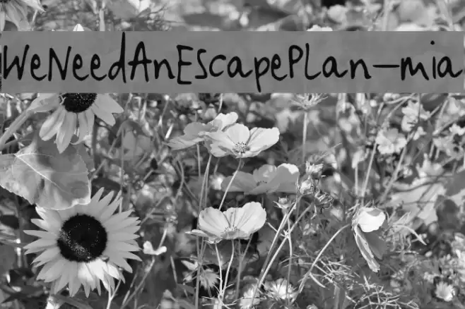 WeNeedAnEscapePlan-mia Шрифта examples