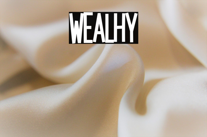 Wealthy Example 2