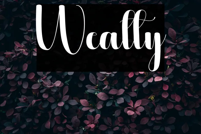 Wealty Example 3