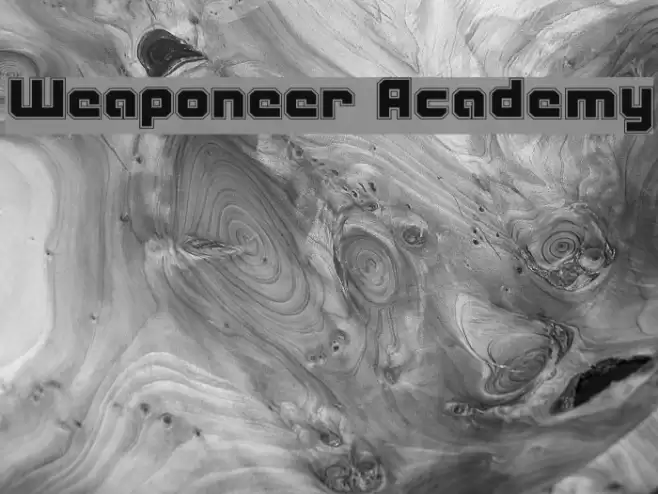 Weaponeer Academy Polices examples