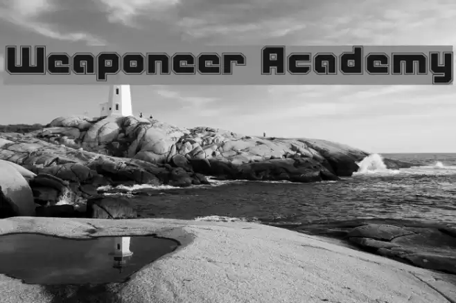 Weaponeer Academy Polices examples