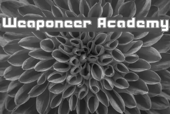 Weaponeer Academy Polices examples