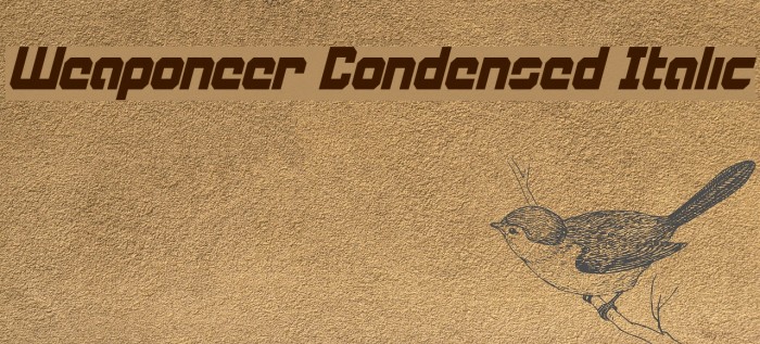 Weaponeer Condensed Italic Font examples