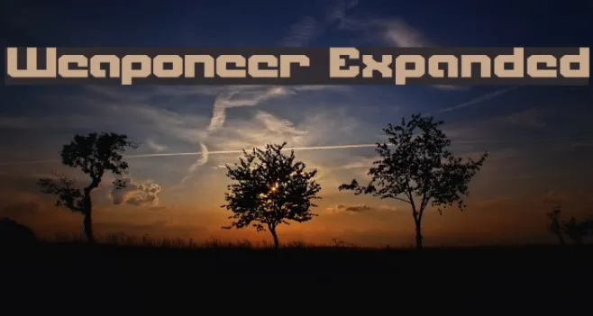 Weaponeer Expanded Example 1